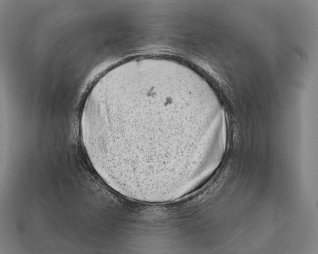 X0000113121358200909251104