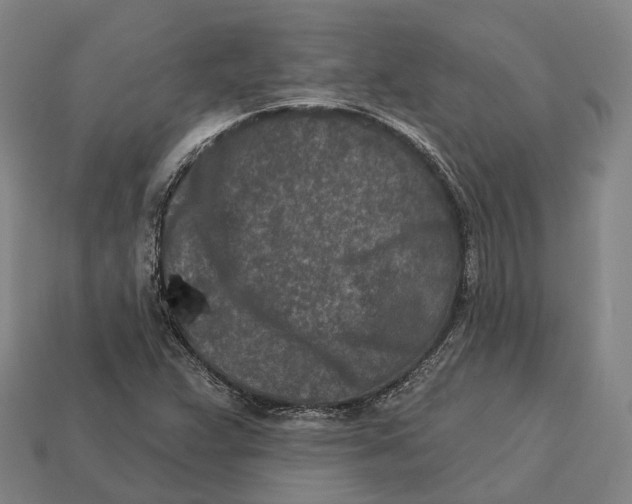 X0000113121359200909251104