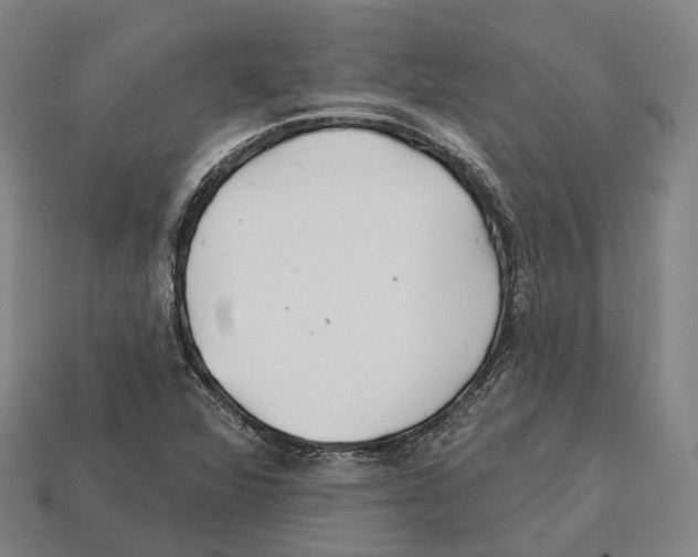 X0000113121360200909251104