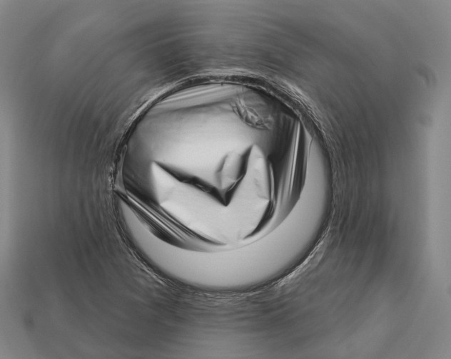 X0000113121361200909251104