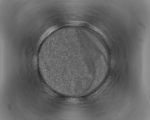 X0000113121362200909251104