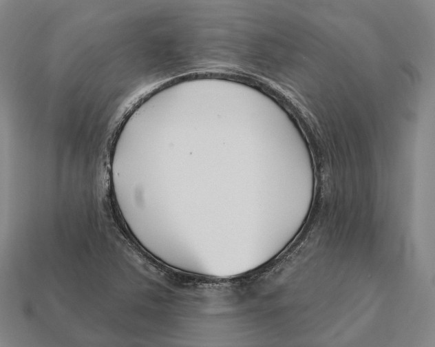 X0000113121363200909251104