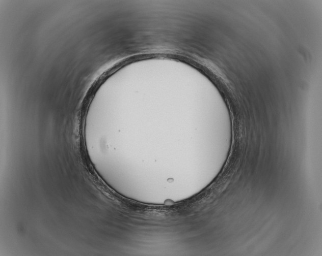 X0000113121364200909251104