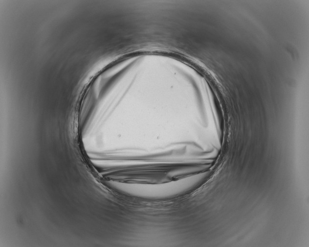 X0000113121367200909251104