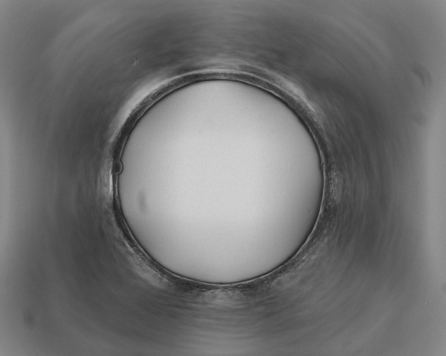 X0000113121368200909251104