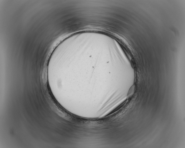 X0000113121371200909251104