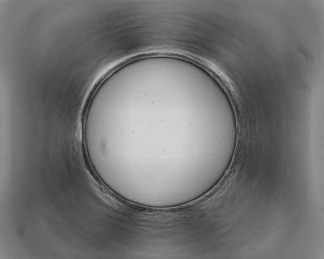 X0000113121372200909251104