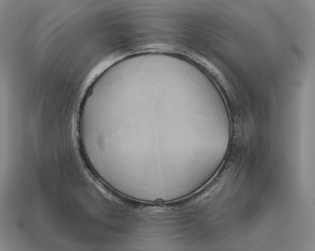 X0000113121373200909251104