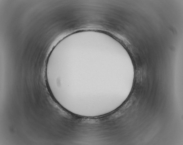 X0000113121374200909251104