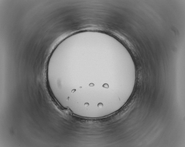X0000113121375200909251104