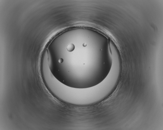 X0000113121376200909251104