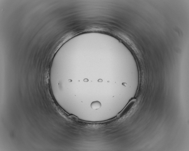 X0000113121377200909251104
