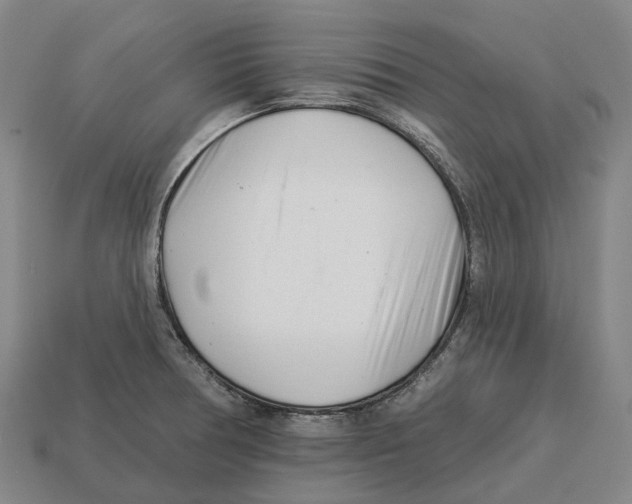 X0000113121378200909251104