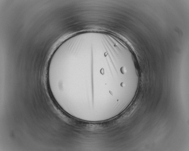 X0000113121379200909251104