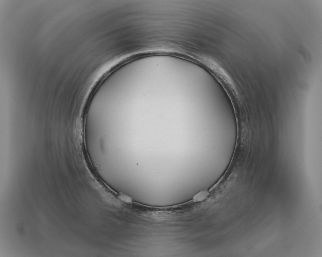 X0000113121380200909251104