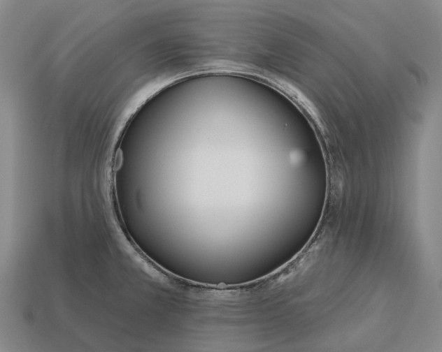 X0000113121381200909251104