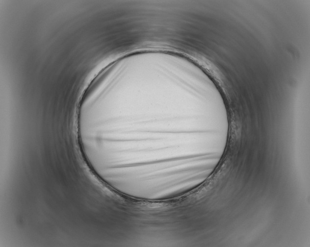 X0000113121382200909251104