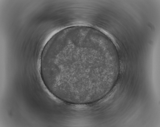 X0000113121383200909251104