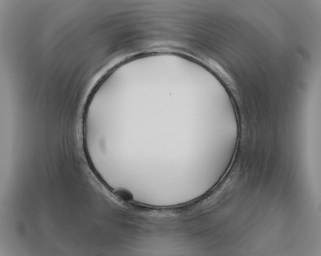 X0000113121384200909251104