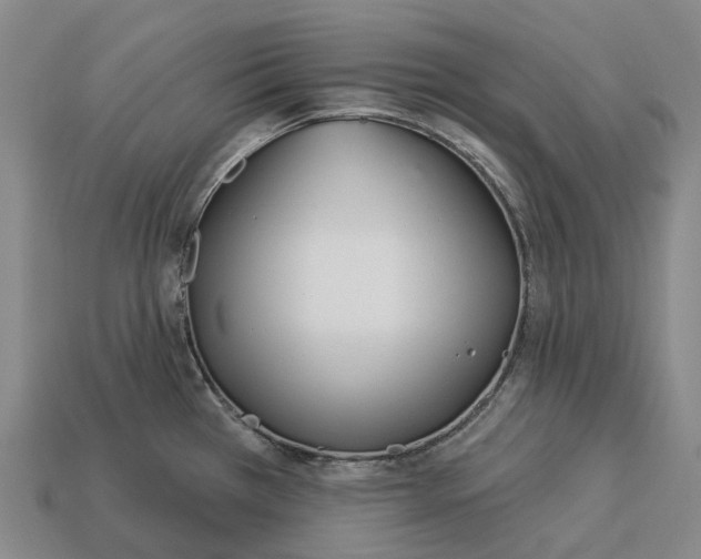 X0000113121385200909251104