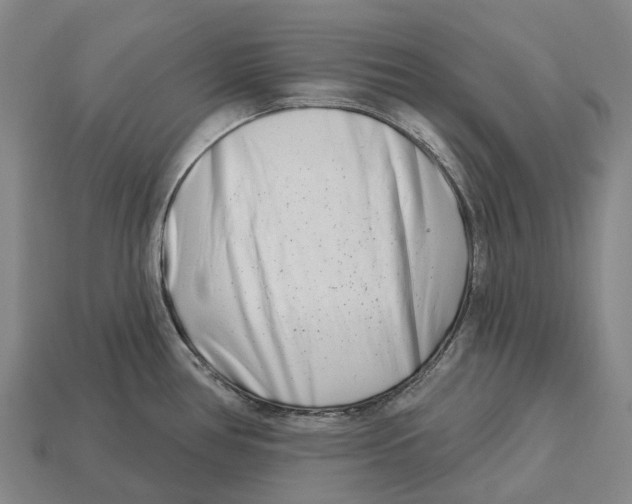 X0000113121386200909251104