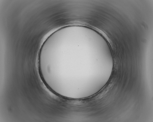 X0000113121387200909251104