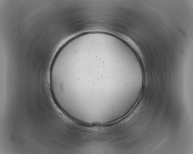 X0000113121388200909251104