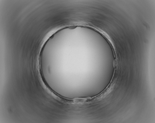 X0000113121389200909251104