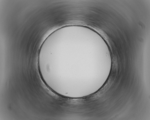 X0000113121390200909251104