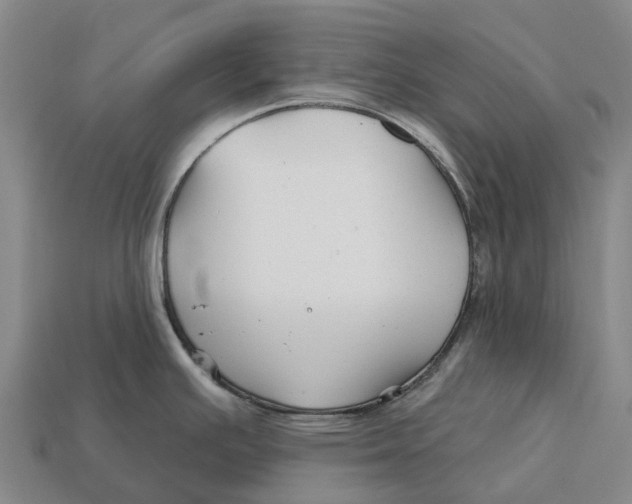 X0000113121391200909251104