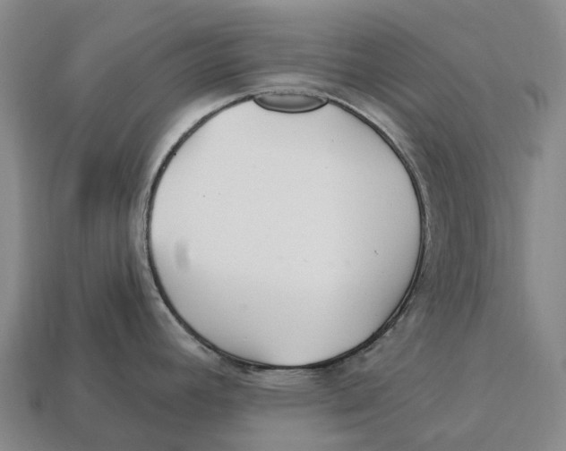 X0000113121392200909251104