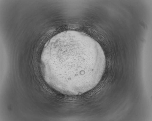 X0000113121393200909251103