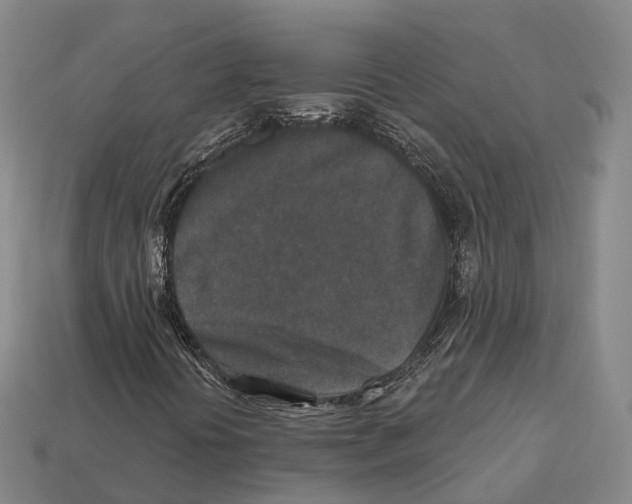 X0000113121394200909251103