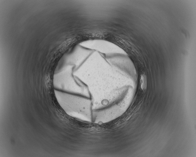 X0000113121395200909251103