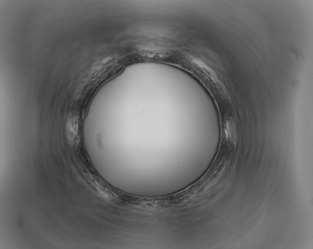X0000113121396200909251103