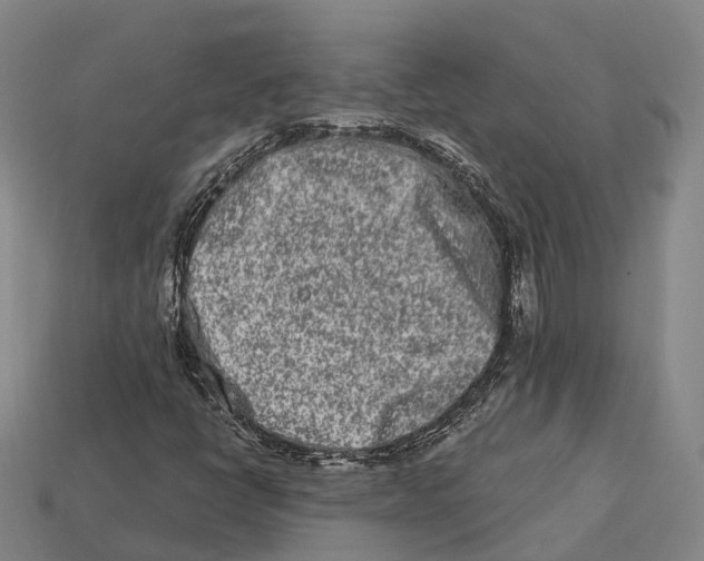 X0000113121398200909251103