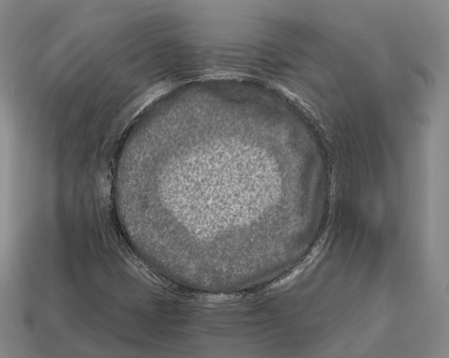 X0000113121401200909251103