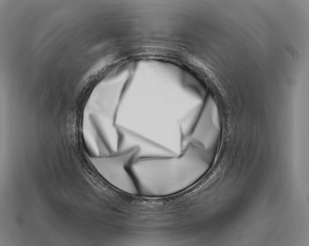 X0000113121403200909251103