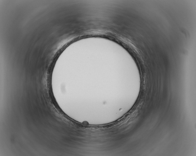 X0000113121404200909251103