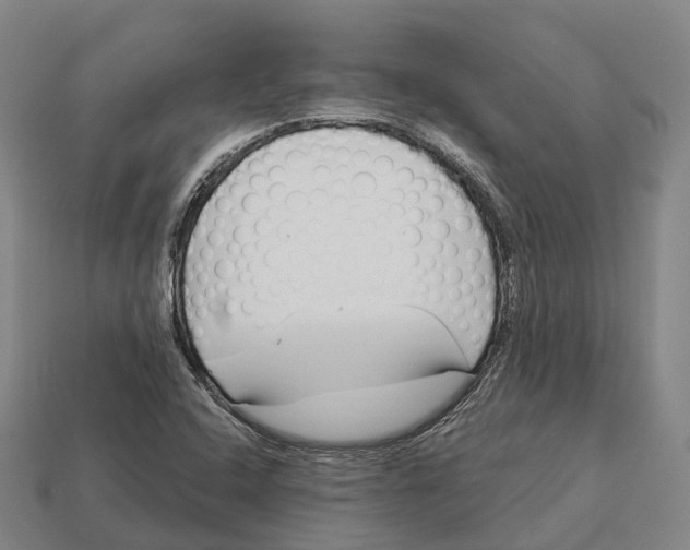 X0000113121408200909251103