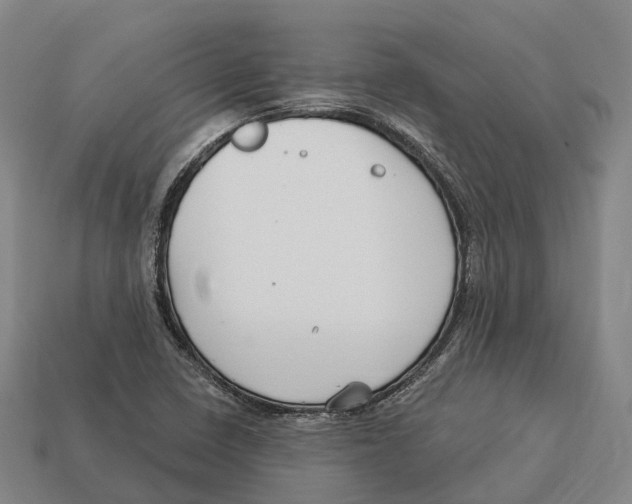 X0000113121410200909251103