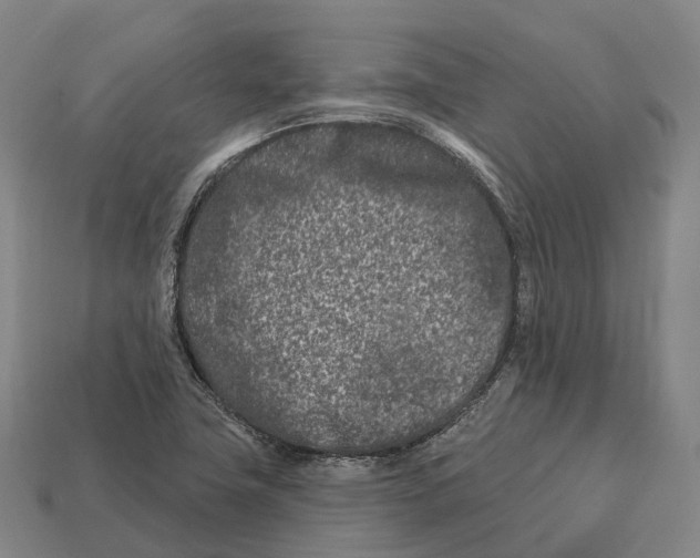 X0000113121411200909251103