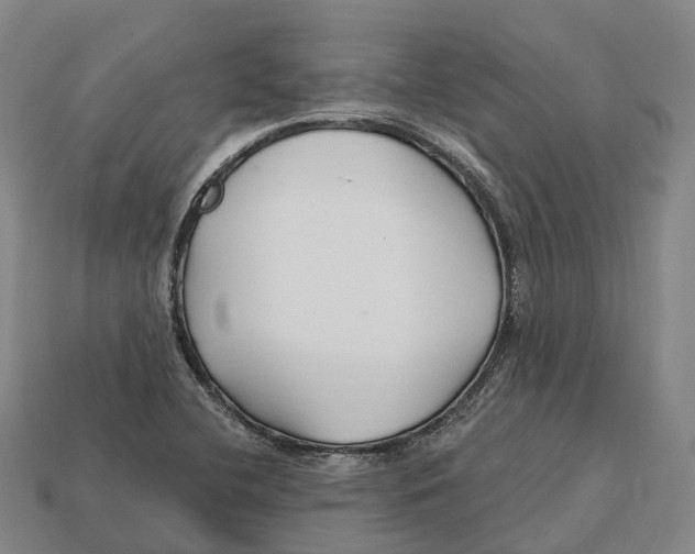 X0000113121412200909251103