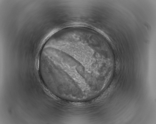 X0000113121413200909251103