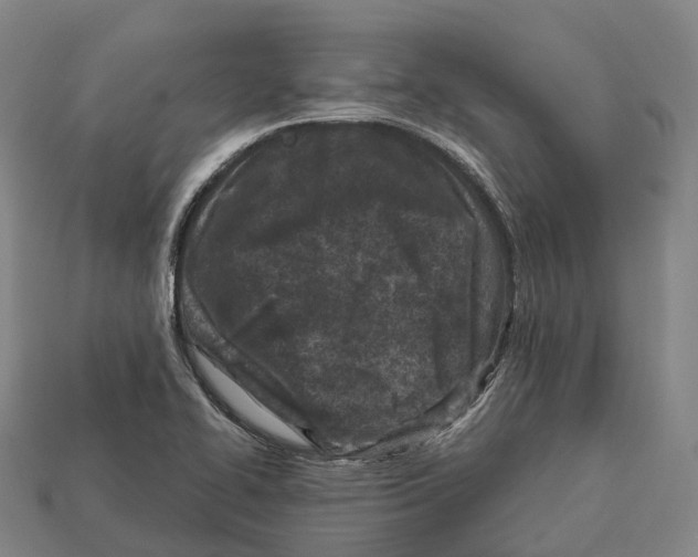 X0000113121414200909251103