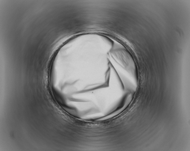 X0000113121415200909251103