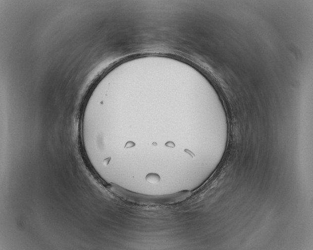X0000113121416200909251103