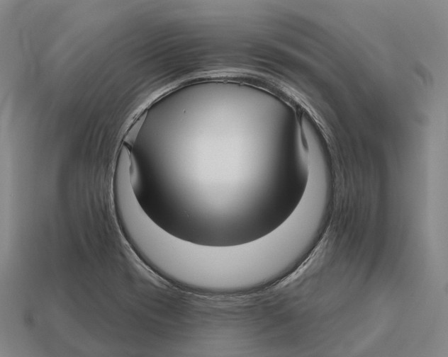 X0000113121417200909251103
