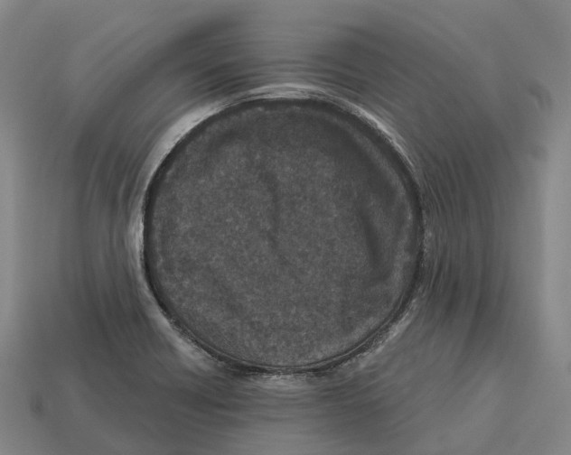 X0000113121418200909251103