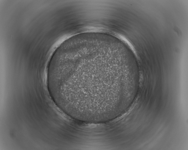 X0000113121419200909251103